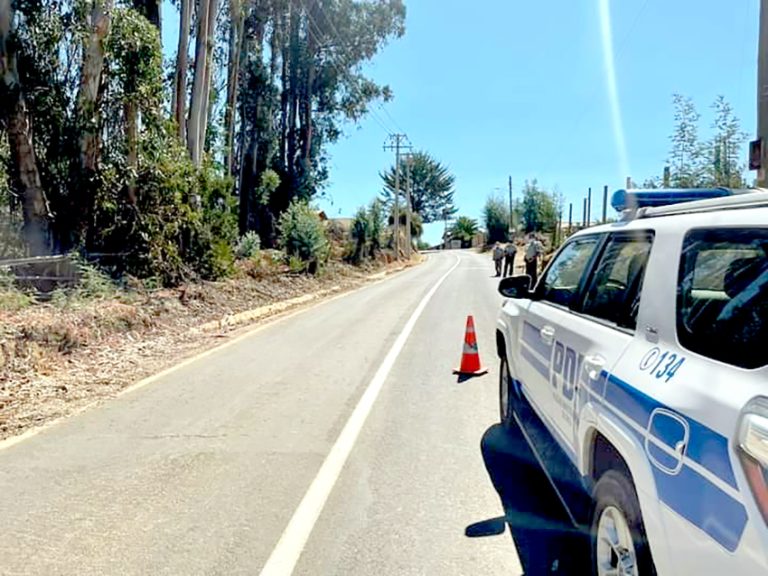 Hombre murió en medio de una tala de árboles