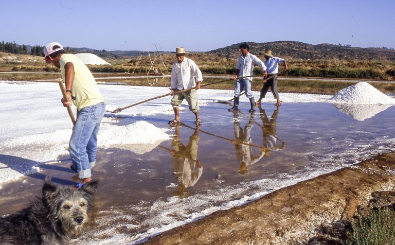 Salinas de Cáhuil, tradición y patrimonio de un oficio ancestral