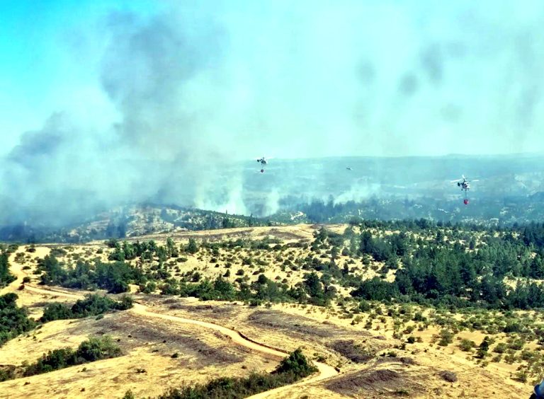 Incendios forestales destruyen dos casas y más de 1.200 hectáreas en Cauquenes