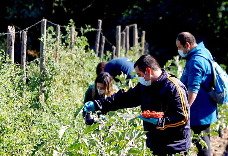Realizan primera visita guiada a Granja Ecológica Municipal