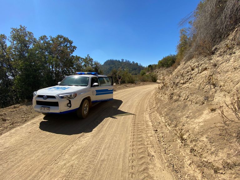 Osamentas halladas en incendio son de animales