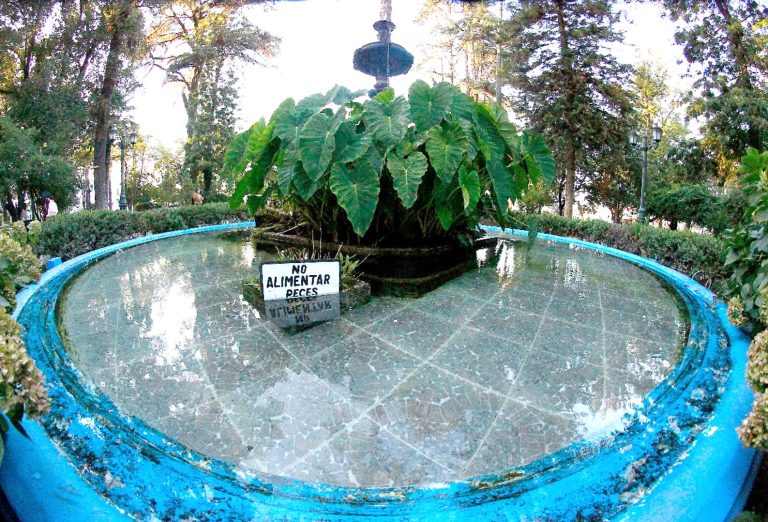 Delincuentes no perdonan ni a  los peces de la Plaza de Armas