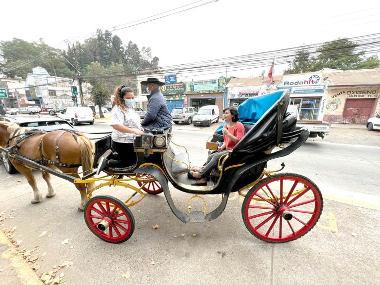Corporación Cultural de Curicó prepara actividades por el Día Mundial de la Poesía