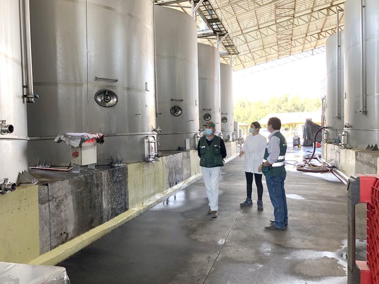 Recuerdan medidas de control en el inicio de la vendimia 2022