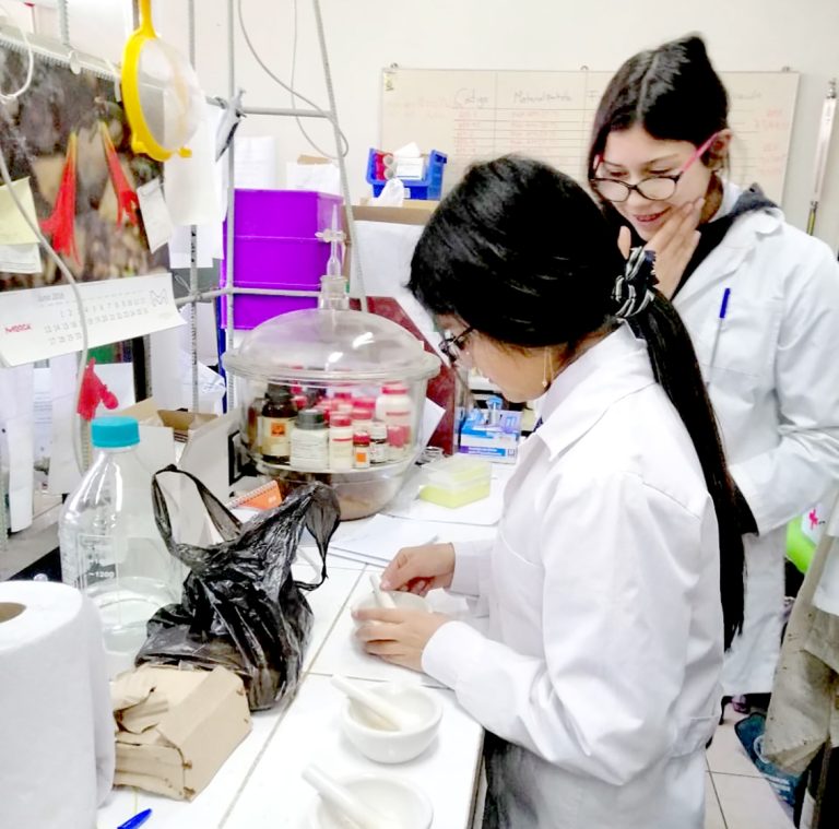 Invitan a estudiantes a participar en Academia Maule Ciencia 2022