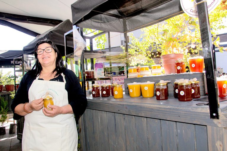 Invitan a jornada de adopción, música en vivo  y feria de emprendedoras en Mall Curicó