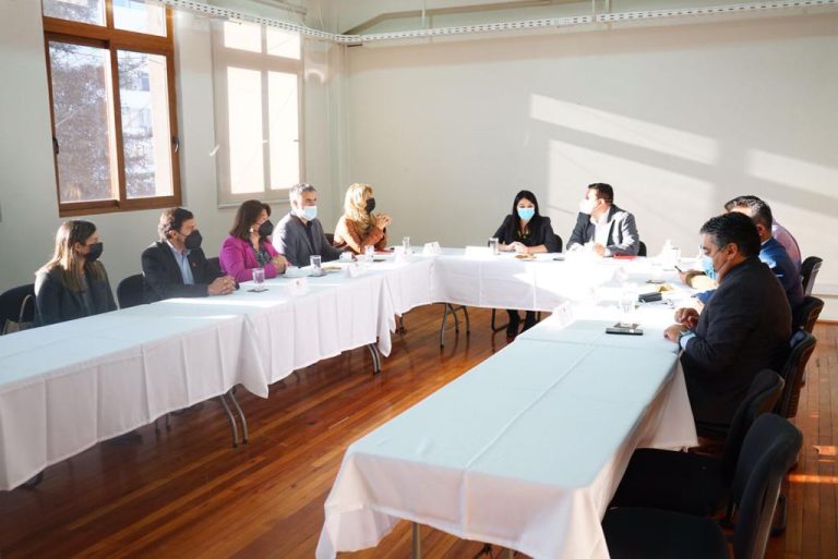 Con mesa intersectorial buscan abordar casos de violencia escolar en el Maule