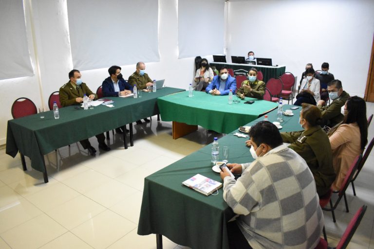 Delegado presidencial se reunió con jefes policiales del Maule