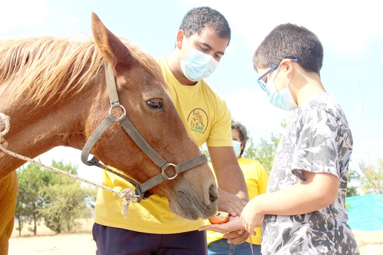 Hualañé: Gracias a presupuesto aprobado por concejo municipal dan inicio a programa gratuito de hipoterapia