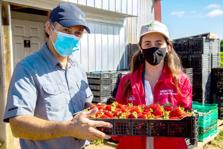 “Nuestra actividad termina en la mesa de las familias de Chile y el mundo”