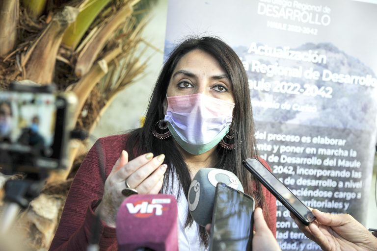 Medios de comunicación conocieron alcances de la Actualización de la ERD para el Maule