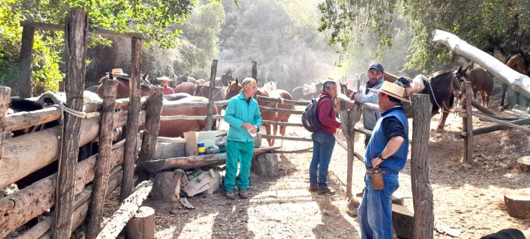 Servicio de atención pecuaria: valioso  aporte municipal al desarrollo rural