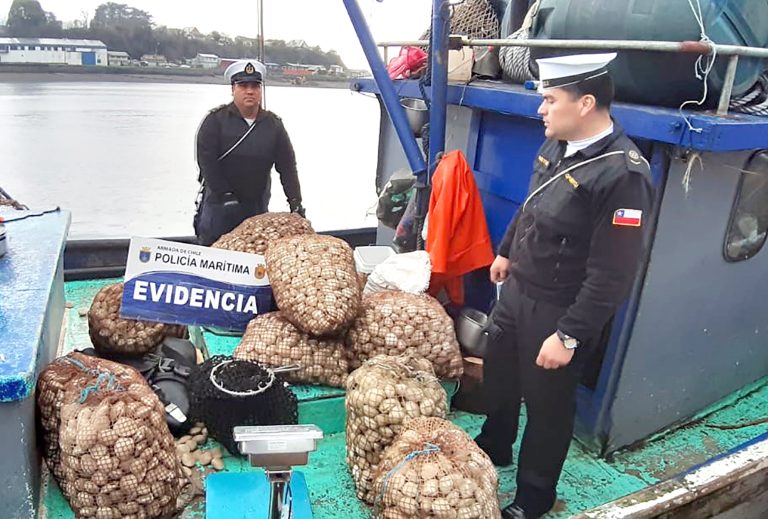 Alerta sanitaria en el Maule por camión que transporta almejas con marea roja