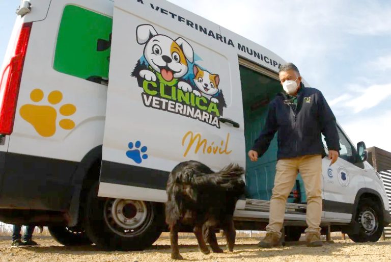 Clínica veterinaria móvil entrega atención gratuita