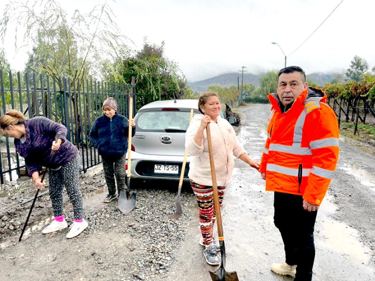 Sistema frontal dejó caída de árboles, rodados y cortes de energía eléctrica