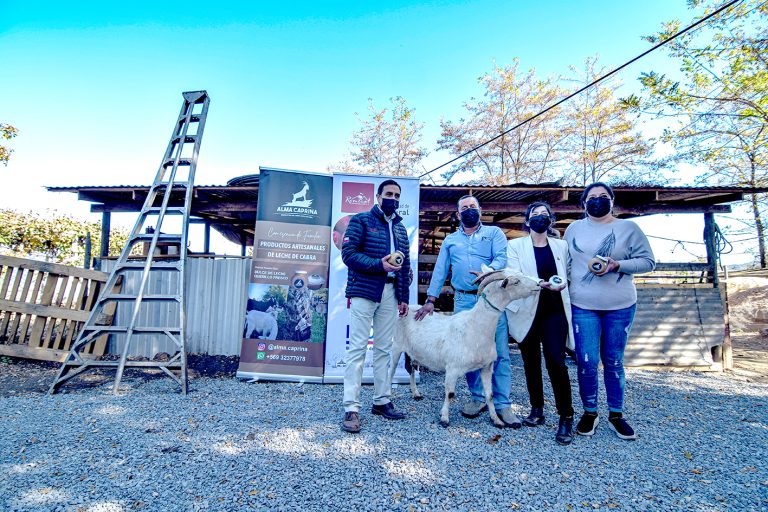 Agricultores y productores de Romeral recibieron a la seremi de Agricultura