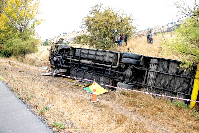 Senadora insistirá por doble vía en camino a Constitución