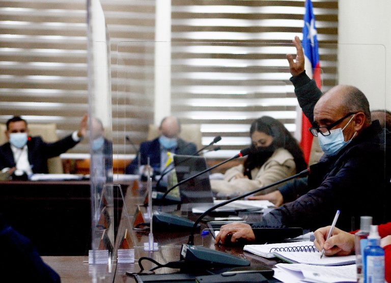 Aprueban nueva ordenanza sobre tenencia responsable de mascotas