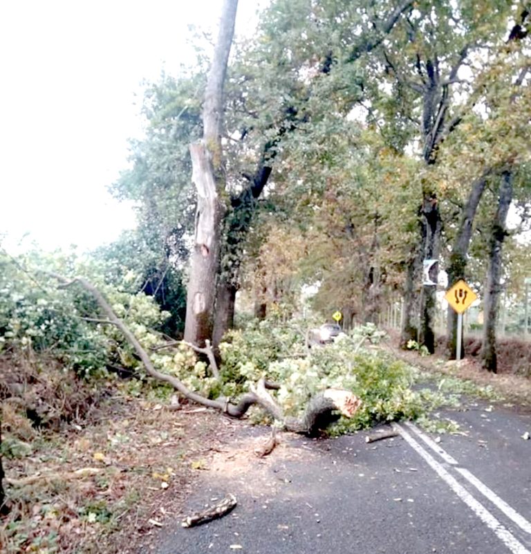 La Región del Maule resiste de buena manera el intenso sistema frontal de los últimos días