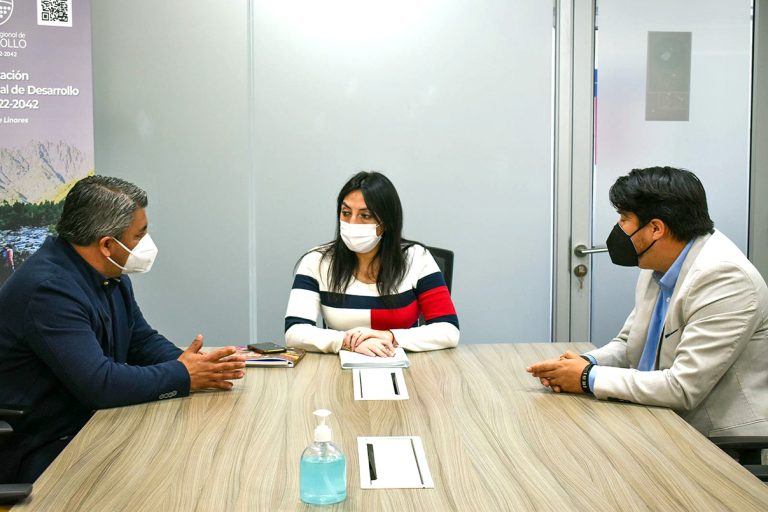 Buscan soluciones ante la falta de agua potable en sectores de Hualañé