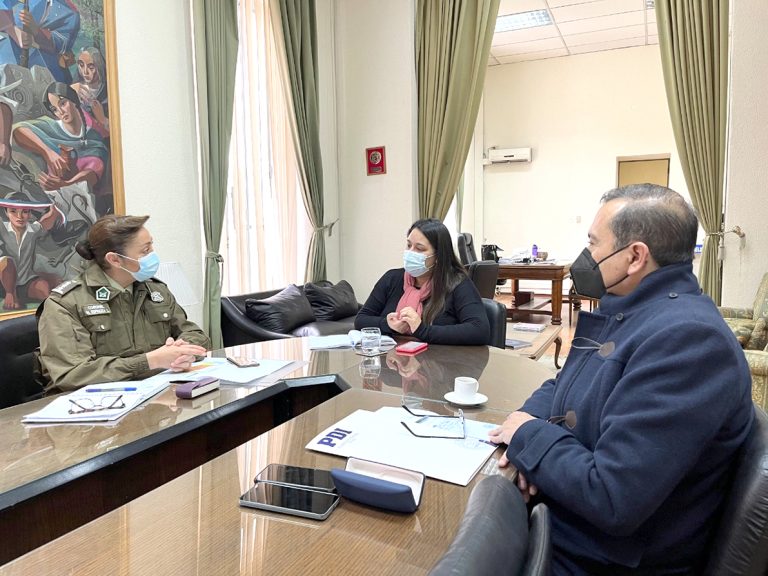 Accidentes de tránsito y casos de microtráfico marcaron primer Comité Policial de Linares