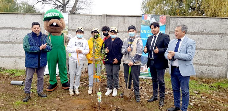 Conaf celebró su aniversario plantando árboles nativos con niños en Curicó