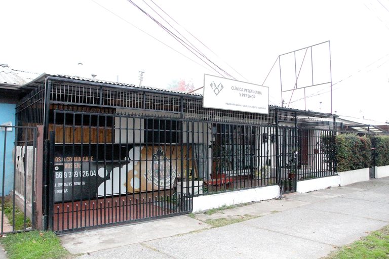 Alertan por asalto a clínica veterinaria: sujetos se llevaron frascos de ketamina