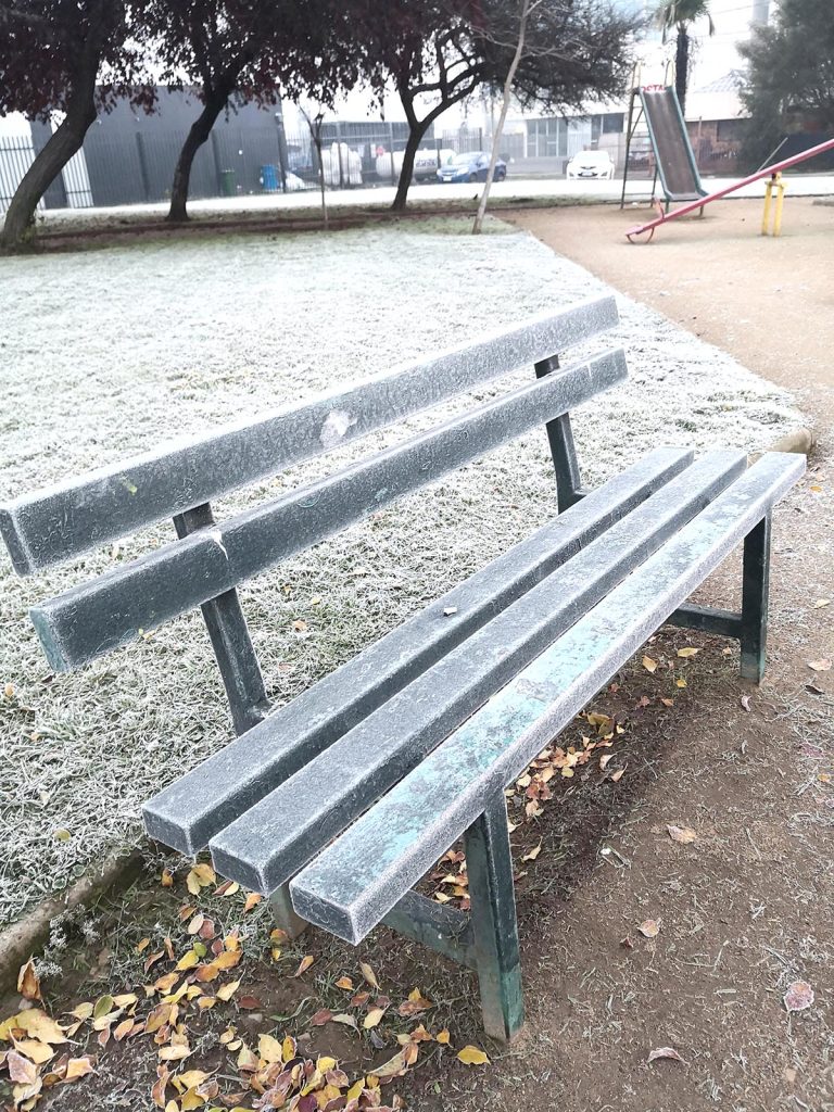 El Maule amaneció de blanco con cencelladas originadas por extremas bajas temperaturas