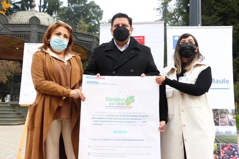 Anuncian paquete de medidas dirigidas al mundo agrícola