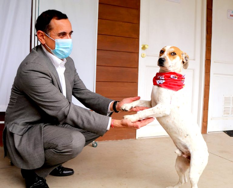 “Jhonny” es la nueva estrella del Canil Municipal de Curicó