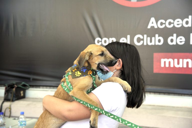 Invitan a jornada de adopción de mascotas en Mall Curicó