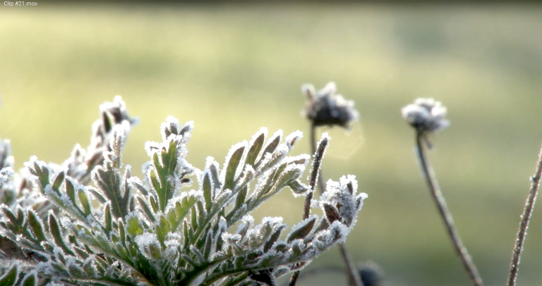 Expertos proyectan heladas de  hasta -7°C durante este invierno