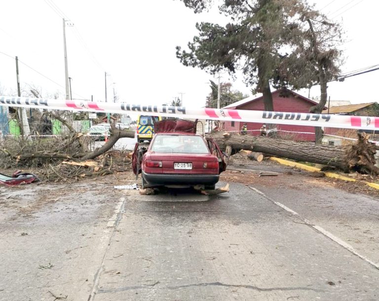 Caída de árbol en automóvil dejó una víctima fatal y un herido grave