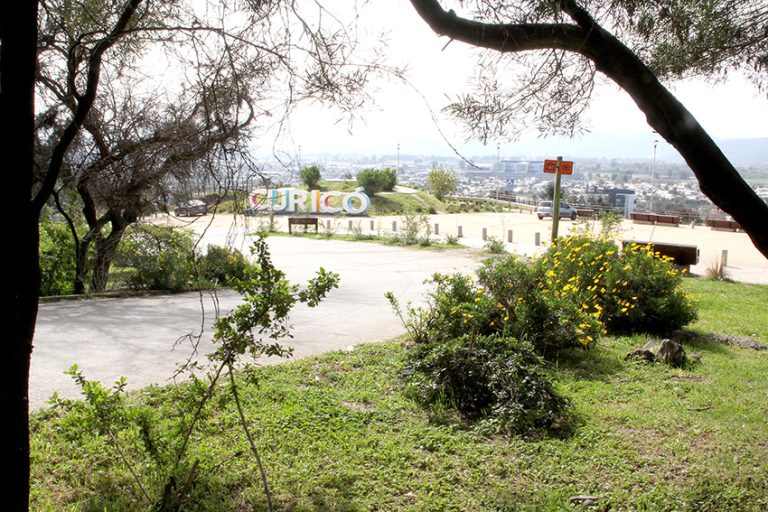 Convocan a jornada de limpieza del cerro Condell