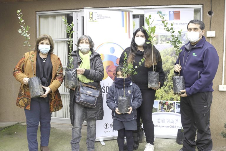 Conaf y Municipio de Teno entregan mil árboles nativos a la comunidad