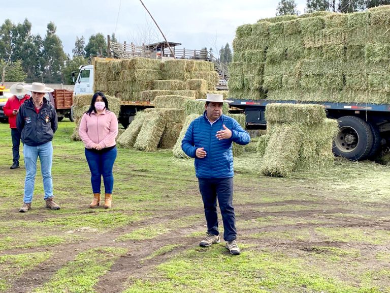 Entregan alimentación invernal a agricultores