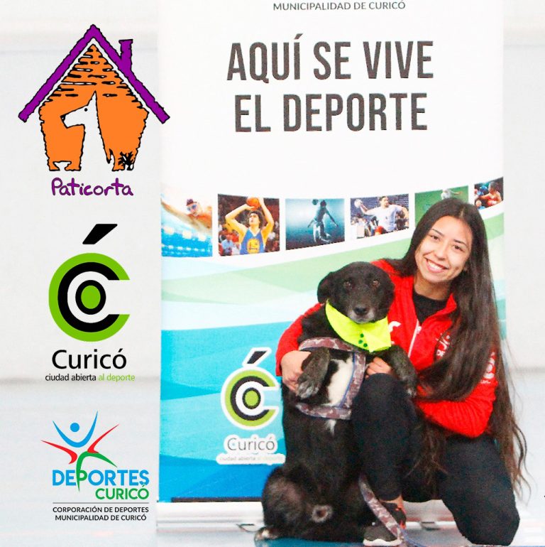 Municipio y fundación Paticorta se unieron para implementar campaña