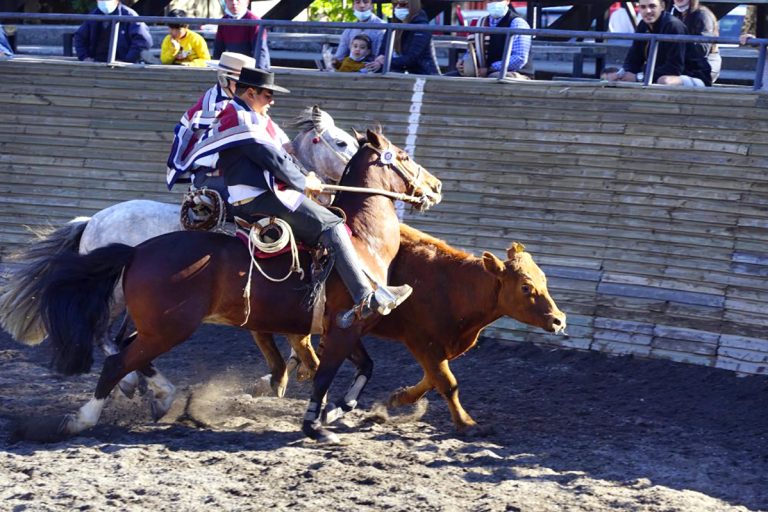Asociación de Rodeo “Agua Negra” premia a mejores de la temporada