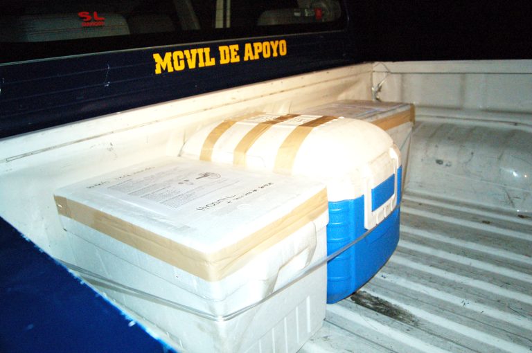 Apenas cuatro casos de donantes de órganos se  han presentado en lo que va del año en la región