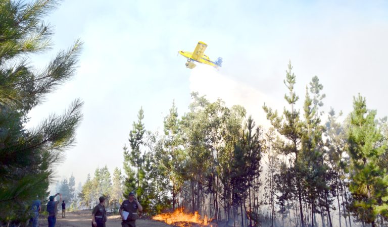 Anticipan complejo escenario por incendios forestales