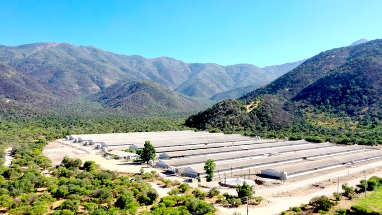 Beneficios de la certificación Chile Origen en términos de inversión