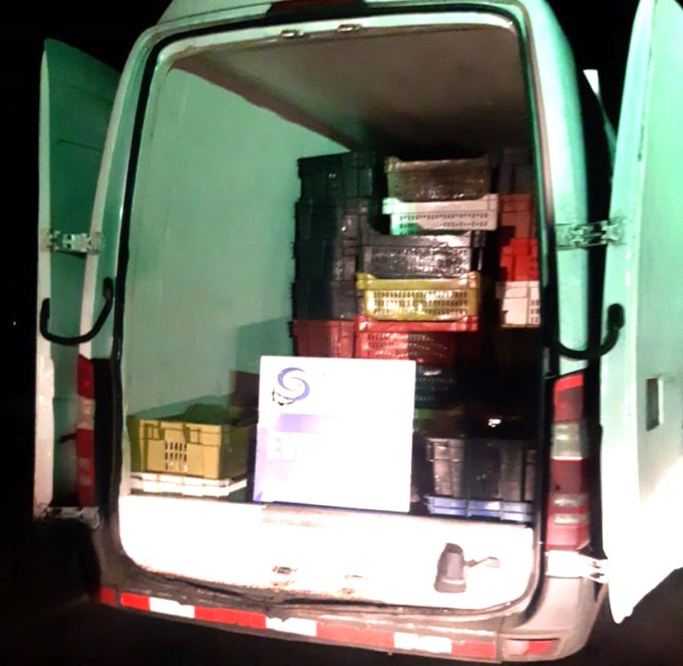 Sernapesca decomisó más de 3 toneladas de jurel en Camarico