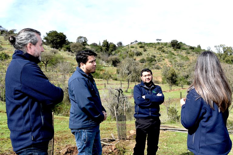 Conaf inicia Plan de Reforestación