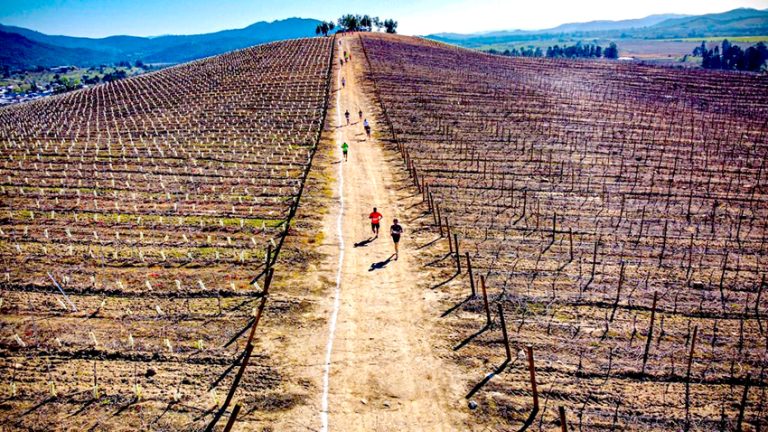 Corrida extrema entre viñedos coronó festejos del Mes del Vino en San Javier