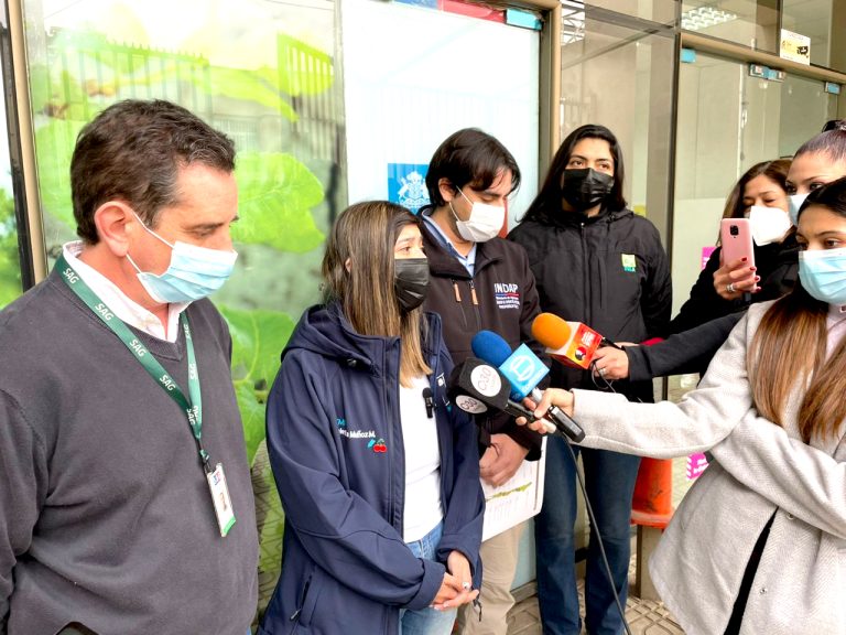 Anuncian medidas por nueva plaga que afecta a la frutilla