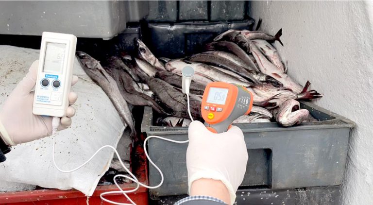 Tras operativo de fiscalización decomisan cinco toneladas de merluza en Cauquenes