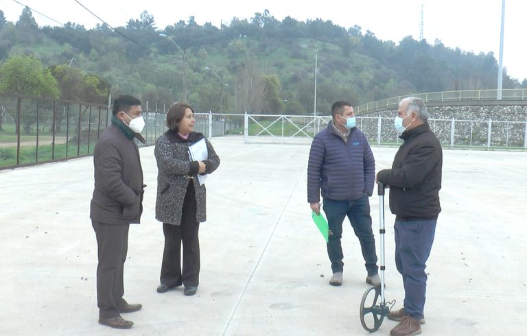 Municipalidad de Curicó realizará remate para ramadas de Fiestas Patrias