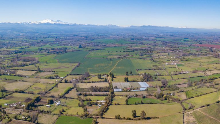 Chile Rural solicita pronunciamiento de Contraloría por polémica circular