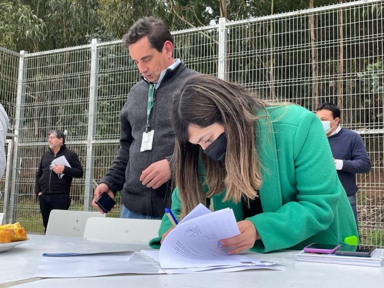 Autoridades del agro se reúnen con frutilleros de Pelluhue para abordar nueva plaga