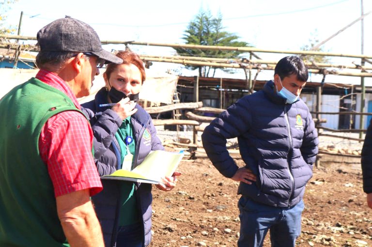 Fiscalizan avícola y predios colindantes por presunta emisión de malos olores